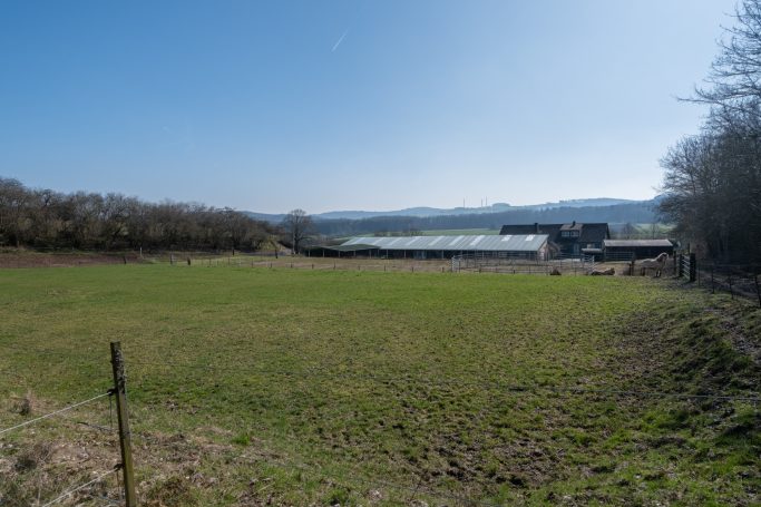 Grüne Wiese mit Aussicht auf einen See und bewaldeten Ufern im Hintergrund.