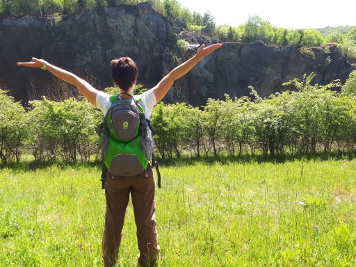Wanderer im Glück 